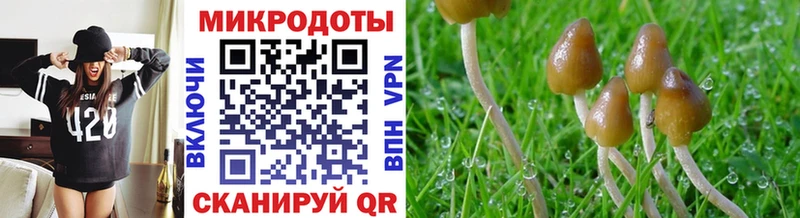Галлюциногенные грибы GOLDEN TEACHER  Поронайск 